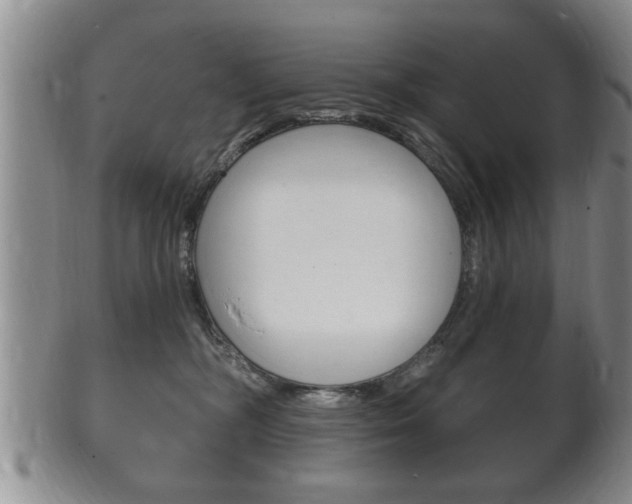 X0000102500326200808080950