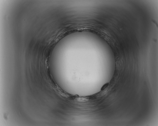 X0000102500327200808080950