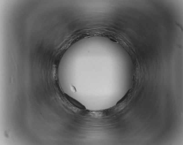 X0000102500328200808080950