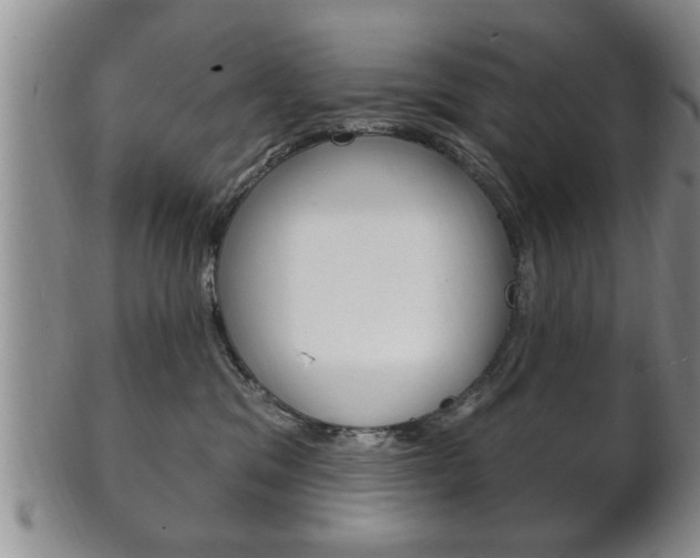 X0000102500329200808080950