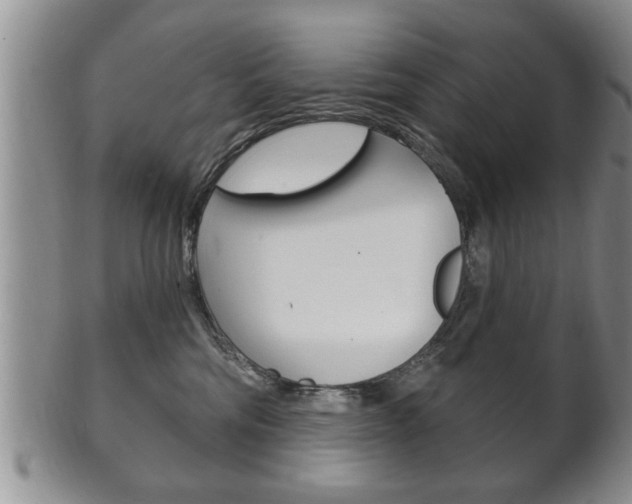 X0000102500330200808080950