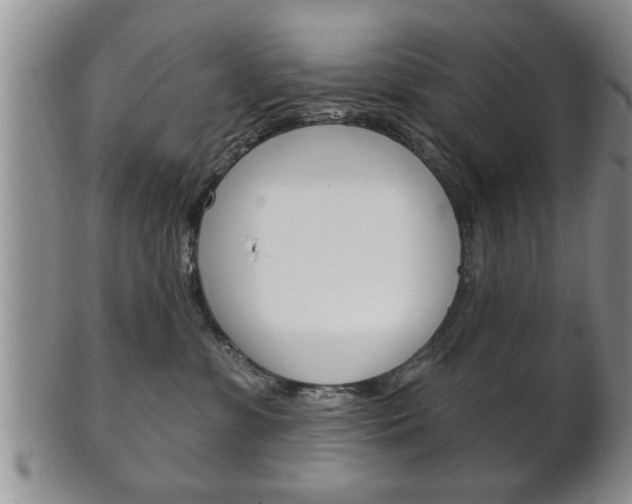 X0000102500331200808080950
