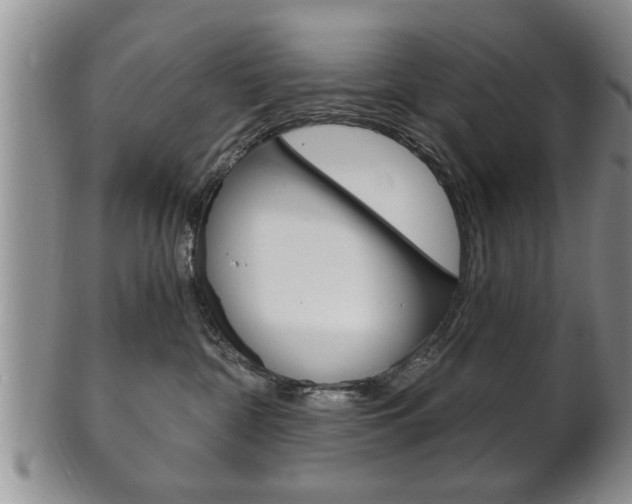 X0000102500332200808080950