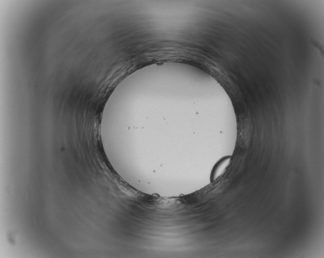 X0000102500333200808080950