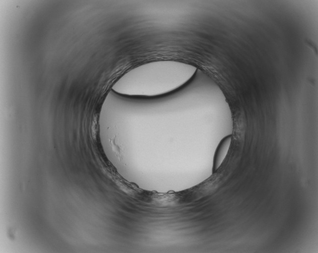 X0000102500334200808080950