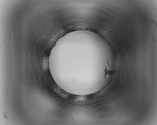 X0000102500335200808080950