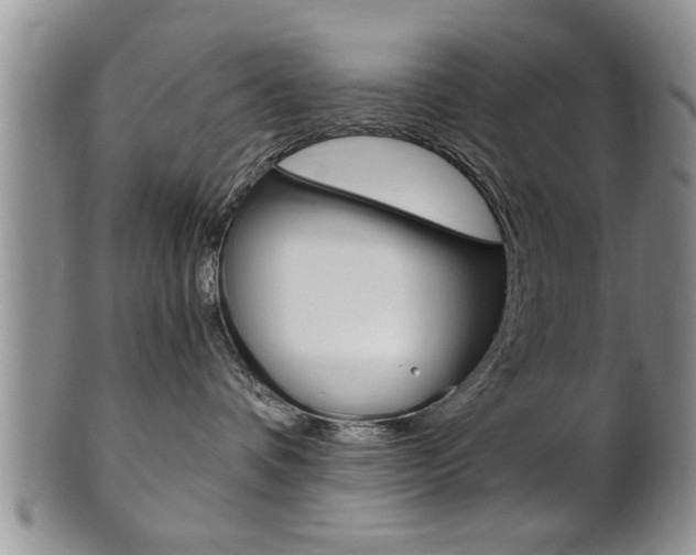 X0000102500336200808080950