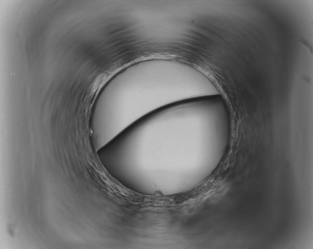 X0000102500337200808080949