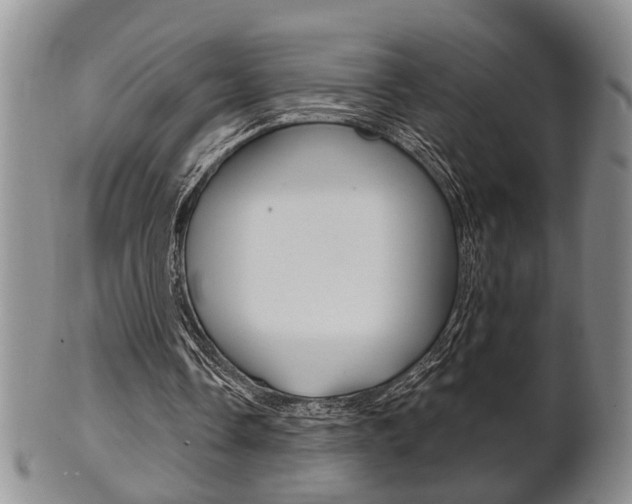 X0000102500338200808080949