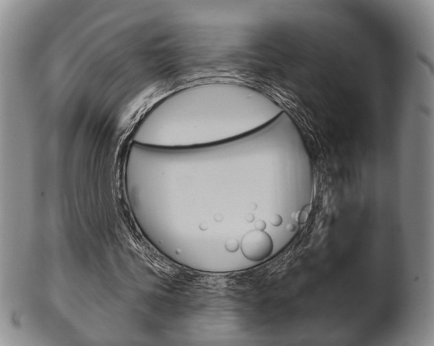 X0000102500339200808080949
