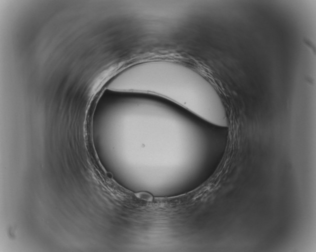 X0000102500340200808080949