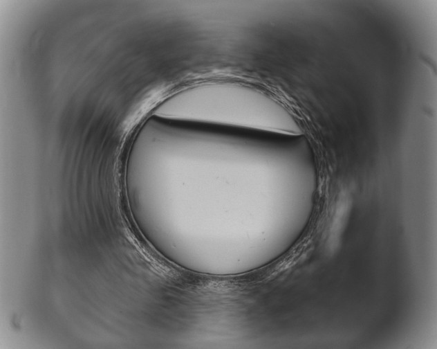 X0000102500341200808080950