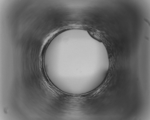 X0000102500342200808080950