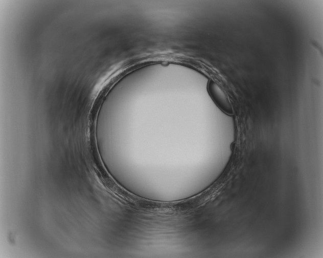 X0000102500344200808080950