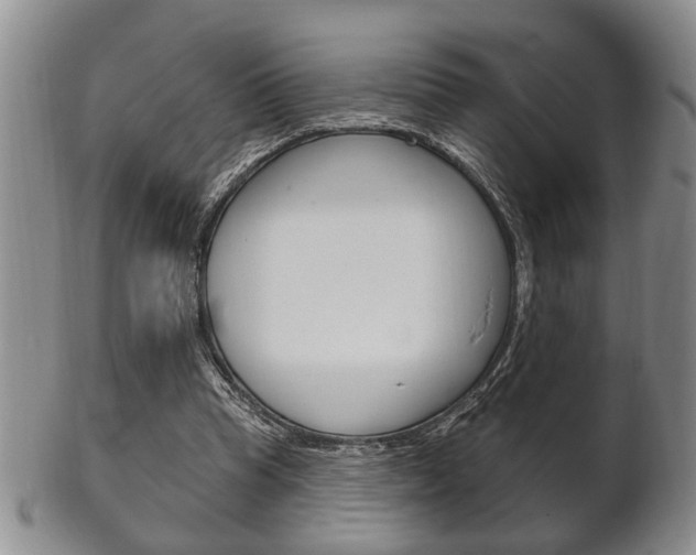 X0000102500345200808080950