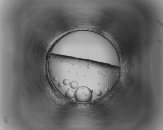 X0000102500346200808080950