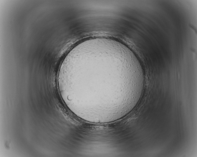 X0000102500347200808080950