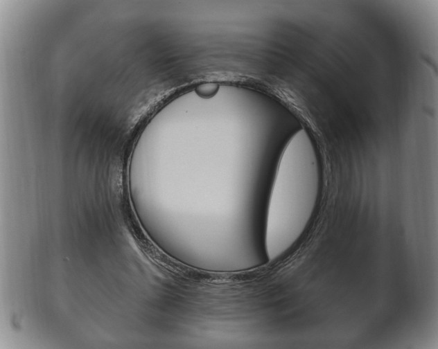 X0000102500348200808080950
