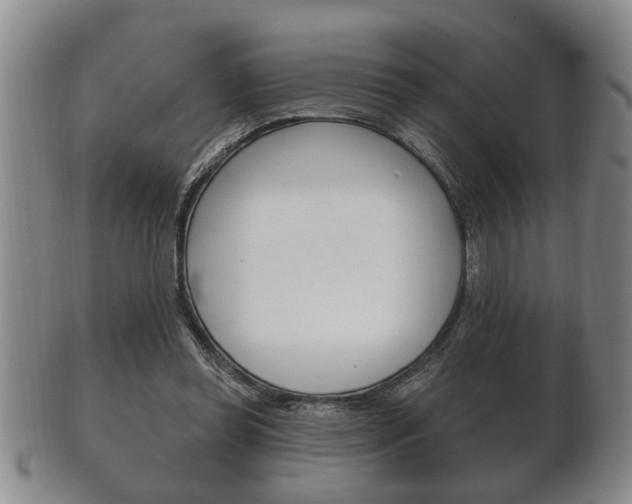 X0000102500349200808080950