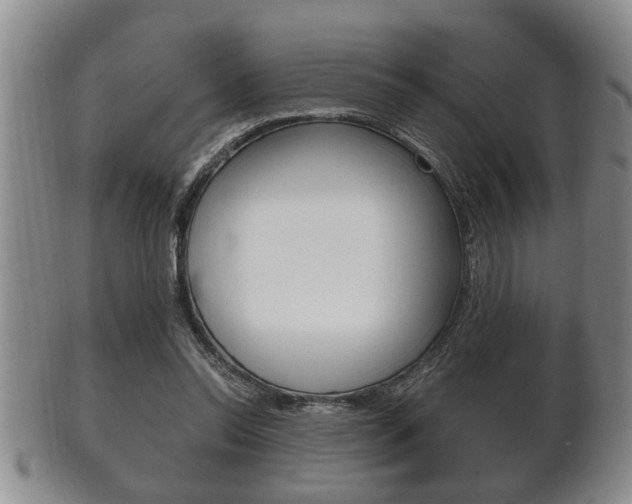 X0000102500350200808080950
