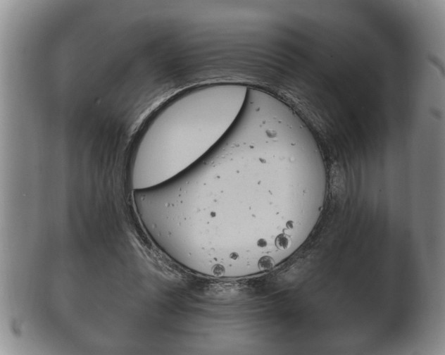 X0000102500351200808080950