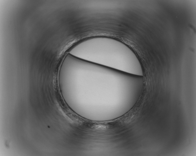 X0000102500352200808080950
