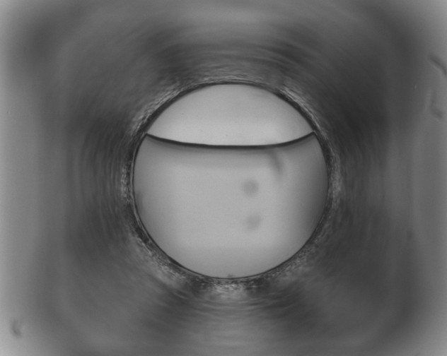 X0000102500353200808080950