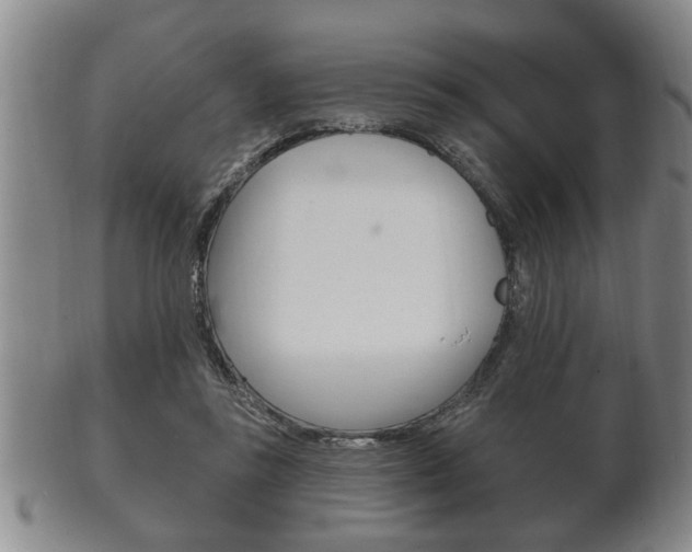 X0000102500355200808080950