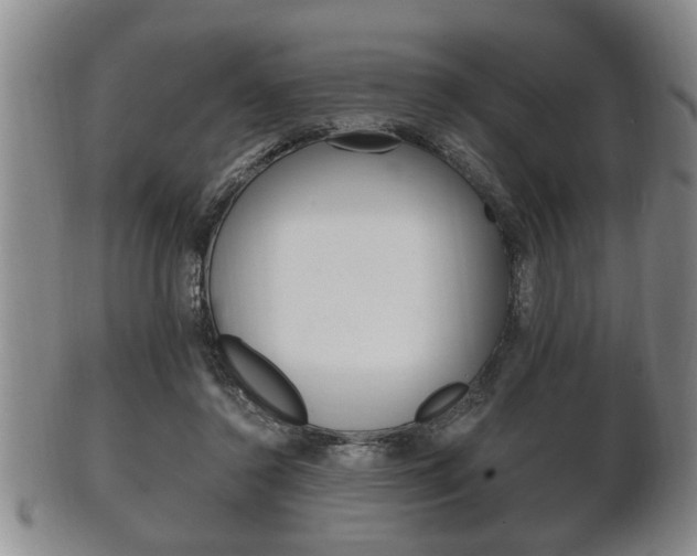 X0000102500356200808080950