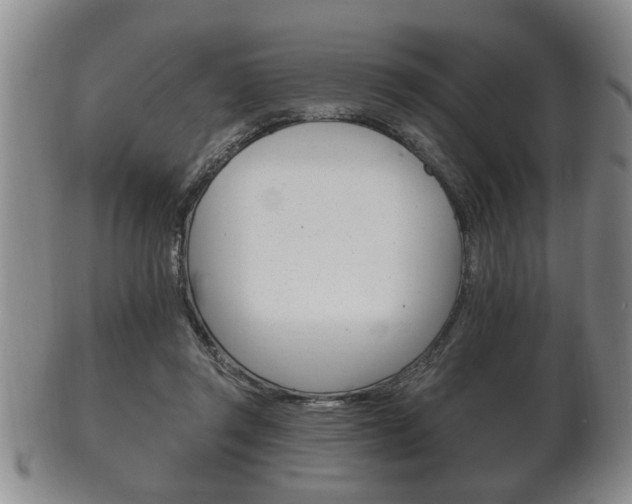 X0000102500357200808080950