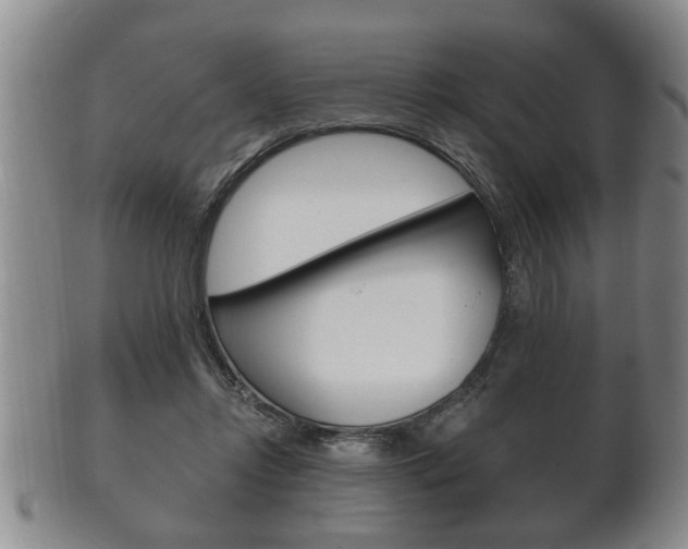 X0000102500358200808080950
