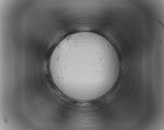 X0000102500359200808080950