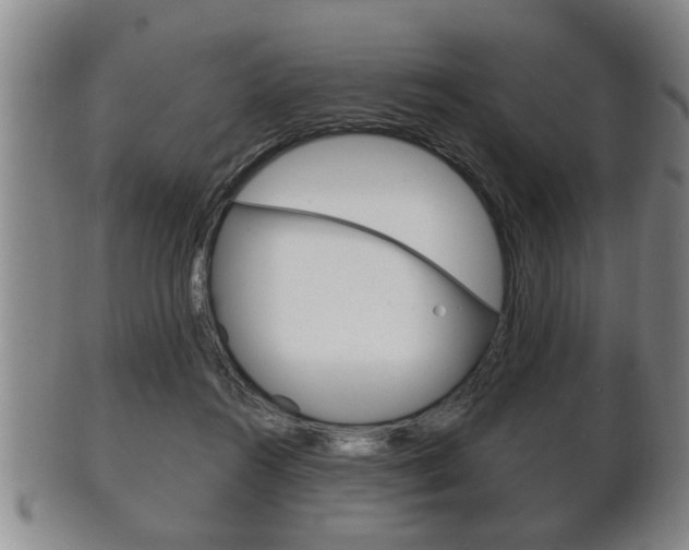 X0000102500360200808080950
