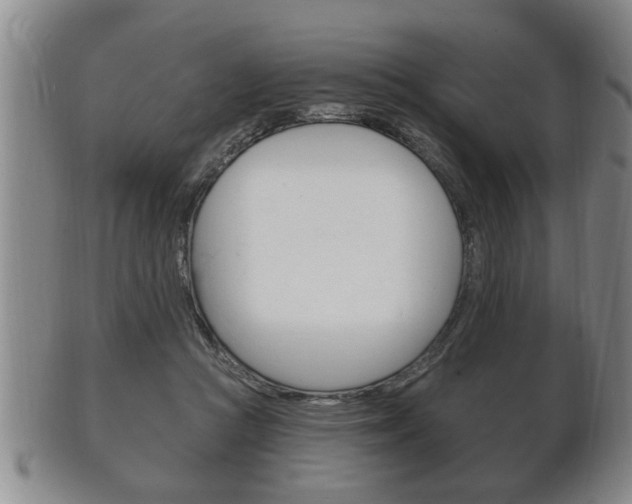 X0000102500361200808080950