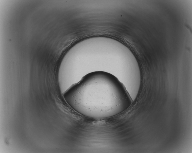 X0000102500362200808080950