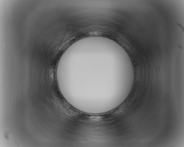 X0000102500363200808080950