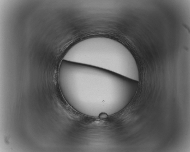 X0000102500364200808080950