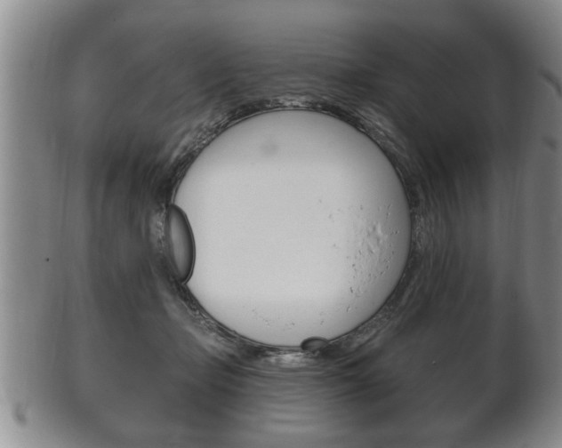 X0000102500365200808080950