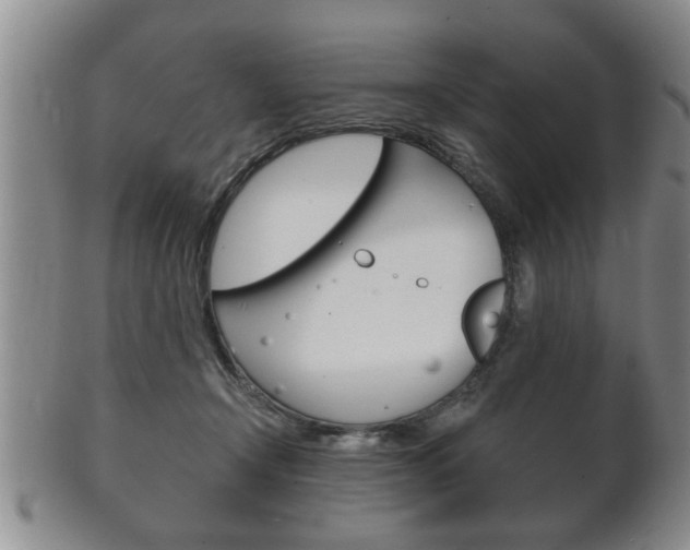X0000102500366200808080950