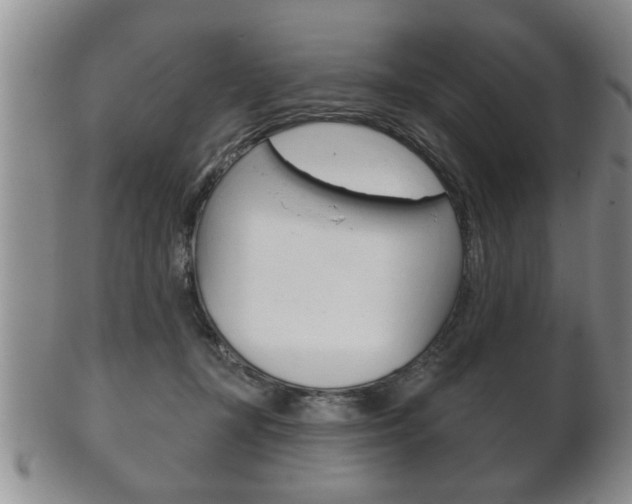 X0000102500367200808080950