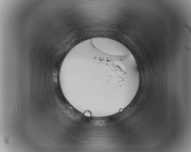 X0000102500368200808080950