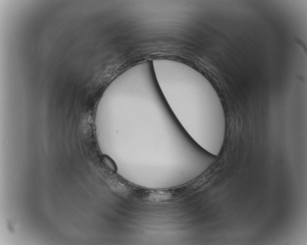 X0000102500369200808080950