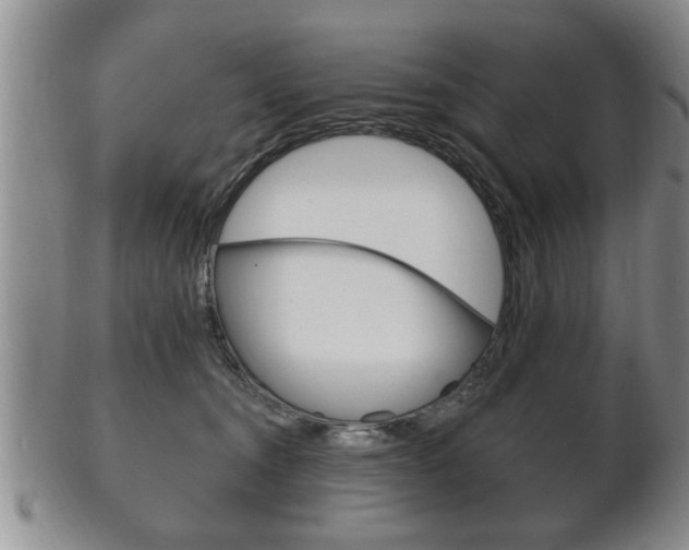 X0000102500372200808080950