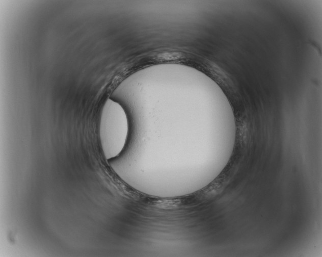 X0000102500373200808080950