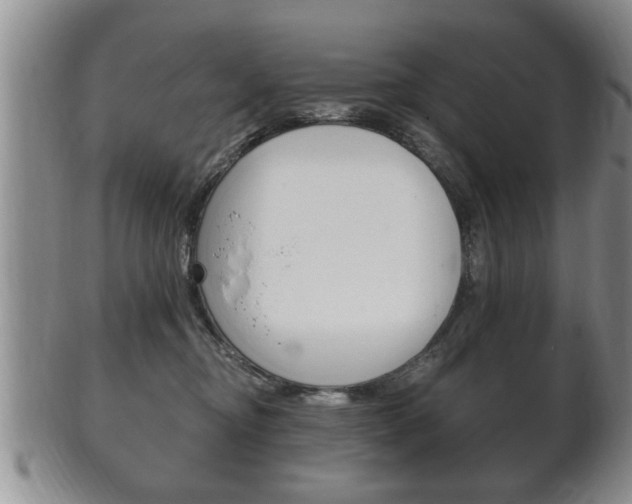 X0000102500374200808080950