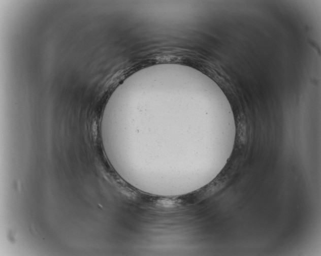 X0000102500375200808080950