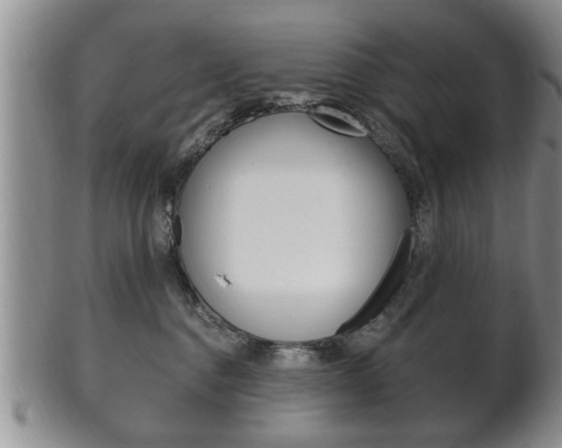 X0000102500376200808080950