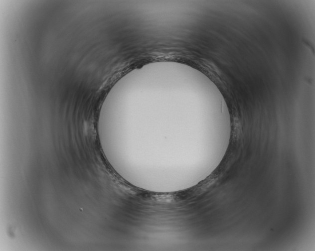 X0000102500377200808080950