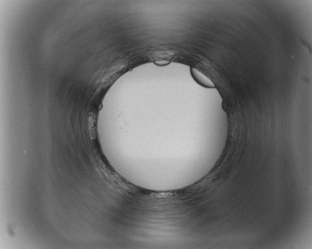 X0000102500378200808080950