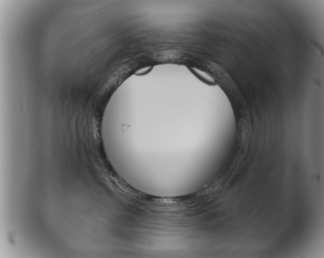 X0000102500380200808080950
